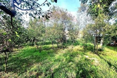 Casă cu 4 camere cu Teren 1055 Mp în Bujac - 2