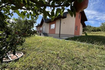 Casa de vanzare, parter 4 camere, garaj, 1424mp teren - Bucium- Visani, IASI - 2