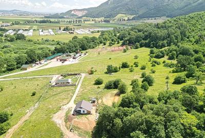 Teren Construcții intravilan de 5500 mp, în Cristian - 28