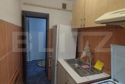 Apartament 3 camere Alexandru cel Bun - 12