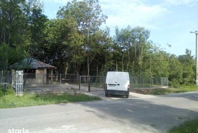 Teren de 50000 mp, în Făgețelu