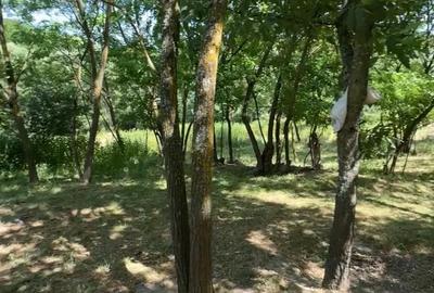 Teren de 4630 mp, în Rădmănești - 5