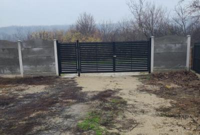 Casa de vanzare in Dobroteasa - 5