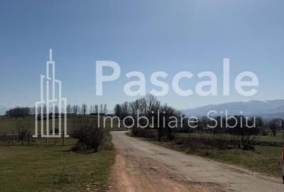 Teren de 2000 mp, în Roșia