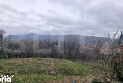 Teren de 1000 mp, în Izvoarele - 3