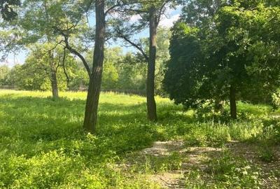 Teren de 10000 mp, în Vicovu de Sus - 6