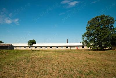 Spațiu comercial, de 100,000 mp, în Centura - 6