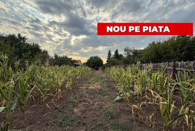 Casă individuală cu 3 camere cu Canalizare în Mehala - 1