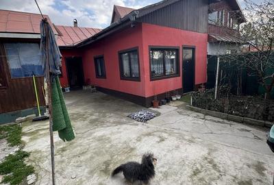 Casă cu 2 camere în Copaciu - 1
