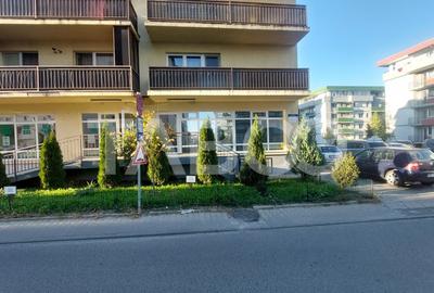 Spatiu comercial de vanzare 68 mpu cartier Alma zona Turnisor Sibiu - 7
