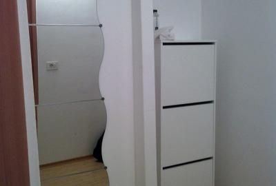 Apartament 1 camera, decomandat, mobilat, rond / piata Alexandru - 5