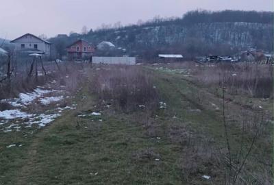 Spațiu comercial, în Leamna de Jos - 6