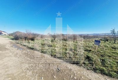 Teren intravilan de vanzare in Partos - 2