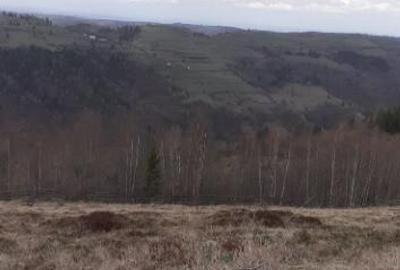 Teren de vanzare ideal pentru cabana in Maguri Racatau - 1