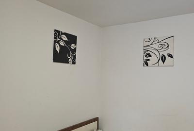 Garsonieră semidecomandată în Ferdinand - 7