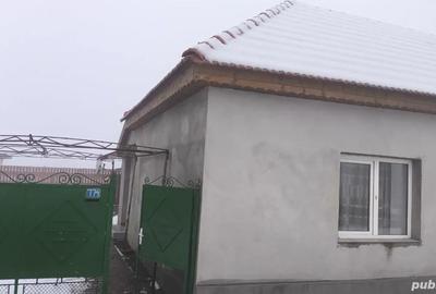 Casă cu 4 camere cu Teren 1400 Mp în Cenad - 8