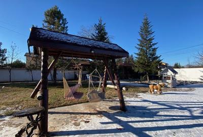 REV2003389 Vila Pantelimon proximitatea lacului - 48