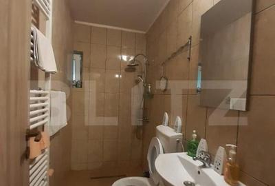 Cabana de lemn, 7 camere - afacere la cheie - Brasov - 13