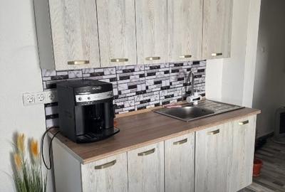 Casă individuală cu 3 camere cu Teren 1000 Mp în Cărpiniș - 10