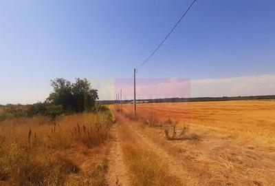 Teren pentru casa/case in Brane?ti pe strada Topora?i - 24