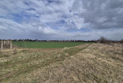 Teren intravilan Izvorani - Delta Snagov - 2