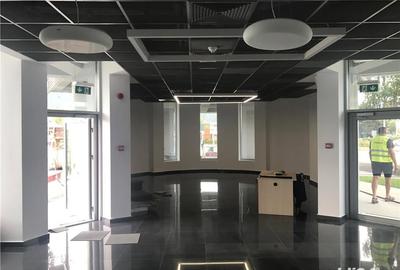 Spațiu comercial, de 1,650 mp, în Calea București - 9