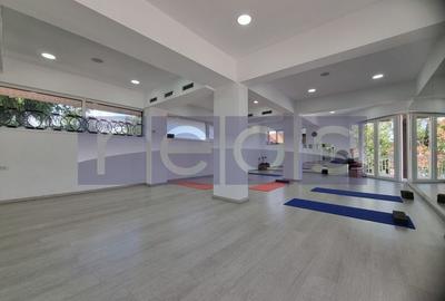 INCHIRIERE SPATIU COMERCIAL-2 VILE | ZONA MOGOSOAIA - 28