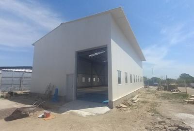 Magurele(Darasti),hala 200 mp,600 mp teren - 6