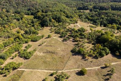 Terenuri 12.225 mp - Aranghel, jud. Valcea - 3