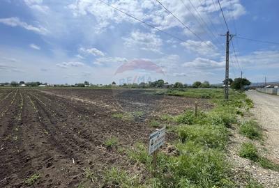 Teren Construcții intravilan de 2086 mp, în Țifești - 5