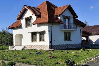 Casă cu Teren 2400 Mp în Vărădia de Mureș - 1