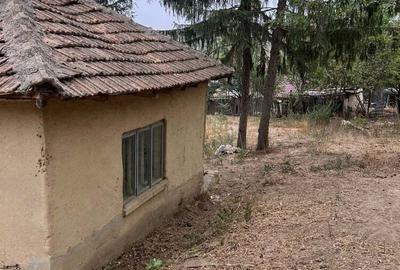 Casa de anzare con Ion corvin - 5