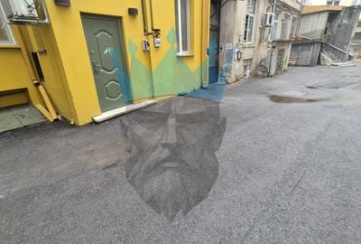 Birou, de 48.689998626709 mp, în Calea Plevnei - 13