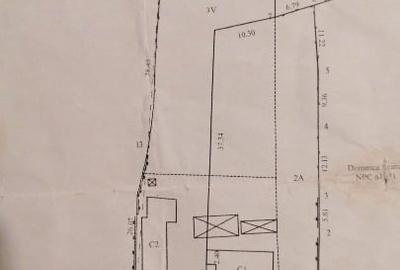 Teren intravilan Letea Veche - 3