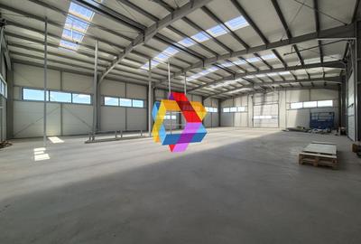 Hala - 1400 mp  # plus-imo.ro - 9