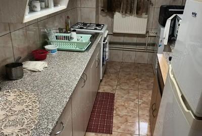 Casa individuala de vanzare Alba Iulia - 10