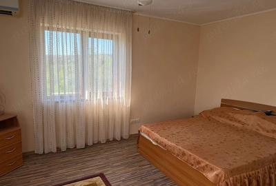Casă în Valea Adâncă - 8