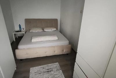 Apartament cu 2 camere semidecomandat în Malu Roșu - 6