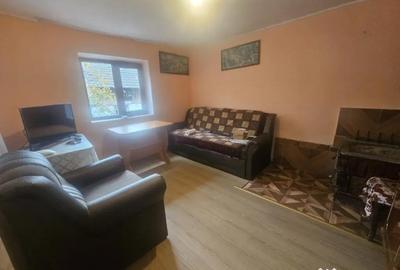 Casă cu 1 camere cu Teren 3000 Mp în Central - 14