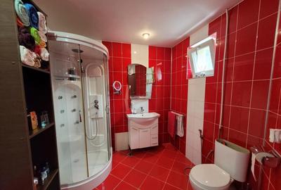 Casa strada Narciselor cu posibilitati multiple de utilizare - 9