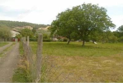 Teren intravilan loc. Brosteni, judetul Vrancea - 7