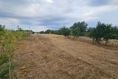 Vanzare Teren Buftea | Crevedia | Samurcasi | Iesire catre LAC - 11
