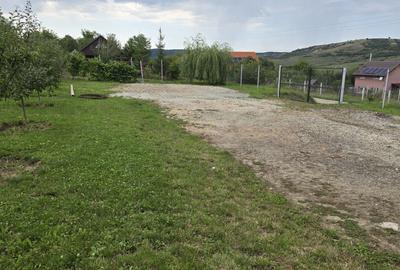 Spațiu comercial, în Daia - 6