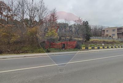 Oportunitate investitie B. Felix teren intravilan cu PUZ 1157 mp DN 76 - 6