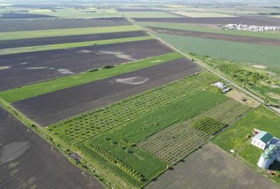 Livada de nuci ?i pruni 2.4ha in Varia?ul Mare - 11