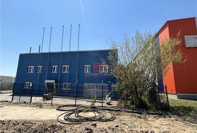 Depozit/hala/spatiu industrial Domnesti - Clinceni - Bragad - 7