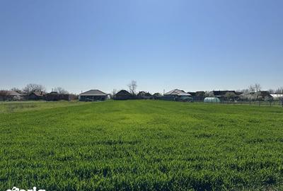 Teren de 3900 mp, în Gepiu - 6