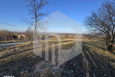 Teren de 24000 mp, în Sadu - 2