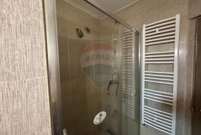 Apartament cu 1 camere de inchiriat in zona Vasile Alecsandri - 10
