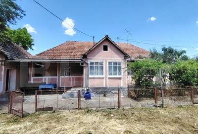 Casa renovabila 2,2 arii taren in Raciu - 22